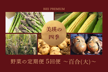 旬の野菜セット 5回 定期便  新鮮な野菜 百合(大) 美瑛の四季【令和8年産予約受付】 