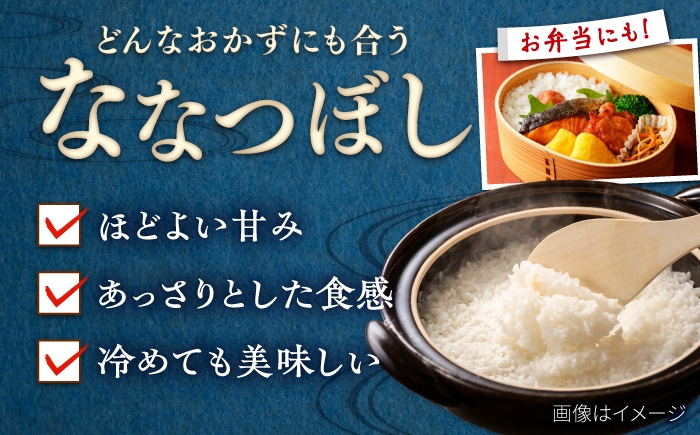 精米 お米 米 北海道 北海道米 白米 ご飯 こめ コメ ライス