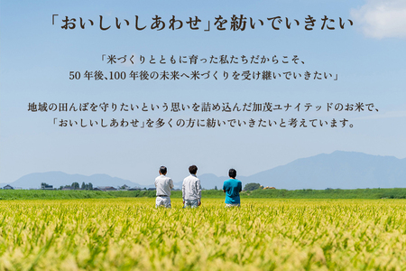 【令和8年産新米先行予約】新潟県産 新之助 玄米30kg（10kg×3袋）《10月上旬から順次出荷》 加茂ユナイテッド