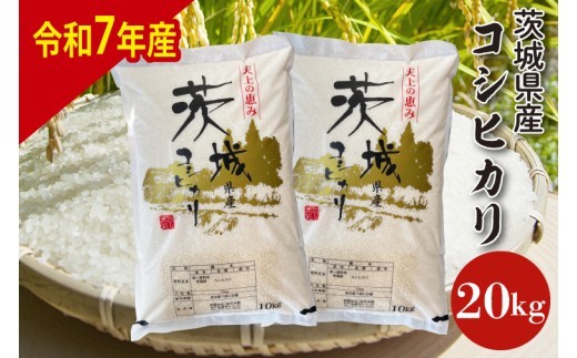 【数量限定】【令和7年産】茨城県産コシヒカリ 20kg 【お米 ごはん こしひかり 老舗 米屋 おにぎり ごはん 茨城県 水戸市 20キロ】(HQ-203)