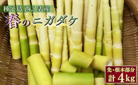 【先行予約】 種子島 産 ニガダケ (根本部分と先部分) 計 4kg　NFN497【475pt】