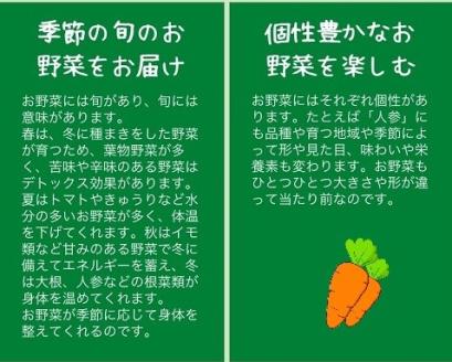 人参 10kg【期間限定】京都府・亀岡産 自然農法＆自然栽培で育てた かたもとオーガニックファームの真冬の甘～い にんじん セット ※離島への発送不可