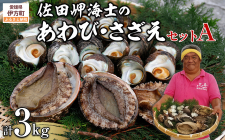 【数量限定】佐田岬海士のあわび・さざえセットA 計3kg ※北海道・東北地方・沖縄・離島への配送不可 IKTJ001