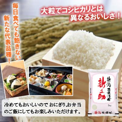 ふるさと納税 南魚沼市 【毎月定期便】南魚沼産新之助(精米) 5kg全3回 |  | 01
