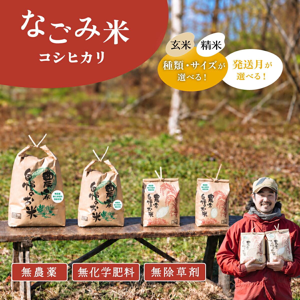 【ふるさと納税】茨城県 下妻市産 R8年産 米 なごみ米（ コシヒカリ ）〔 玄米 / 精米 〕〔 2kg ～ 10kg 〕〔 10月 11月 12月〕 【 お米 コシヒカリ 米 無農薬 無化学肥料 無除草剤 精米 玄米 自然 農法 茨城県産 6000円 ～ 】