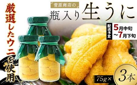 【発祥の地】【牛乳瓶入り生うに】【2027年5月中旬以降発送 】菅原商店 生うに 75g×3本 国産 三陸山田 岩手県 山田町 三陸 旬 うに 牛乳瓶 無添加 ウニ 雲丹 うに丼 無添加ウニ キタムラサキウニ 特選 ミョウバン不使用