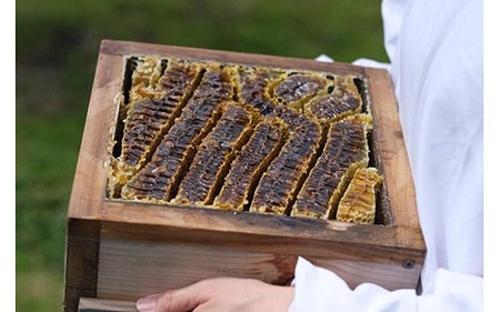瓶詰 加工品 食の色どり3点セット（マスタード/糀味噌/トマトソース）