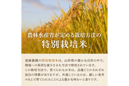 玄米 令和6年 特別栽培米 コシヒカリ 5kg [遠藤農園 山形県 高畠町 tk06ayt120002] こしひかり 5キロ お米 ブランド米 ごはん ご飯 こめ