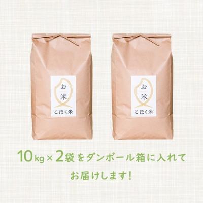 ふるさと納税 長浜市 令和6年産 滋賀県湖北産 湖北のコシヒカリ　玄米　20kg 【食味最高ランク特A 3年連続受賞】 |  | 01