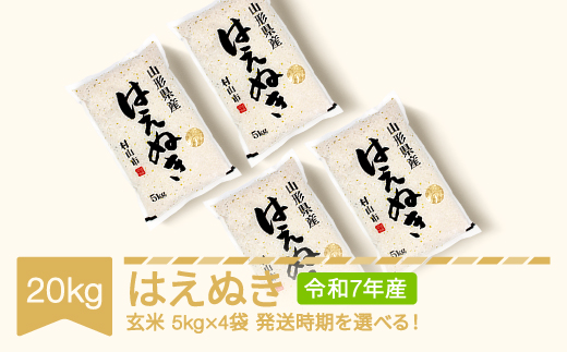 米 20kg 5kg×4 はえぬき 玄米 令和7年産 2026年8月下旬 mk-haxxa20-g8c