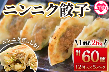 【数量限定！】＜ニンニク餃子(12ヶ入×5パック)＞【MI282-fu】【福栄生餃子店】