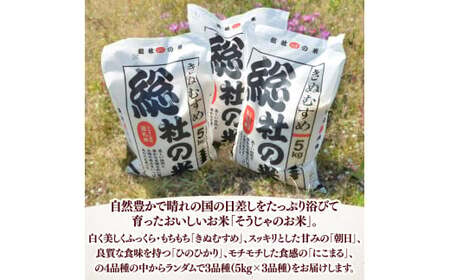 【令和7年産米】3種食べ比べ【精白米】30kg 定期便（15kg×2回）岡山県総社市〔令和8年2月・4月配送〕25-060-005