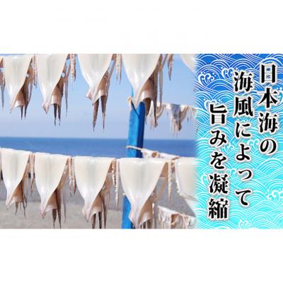 ふるさと納税 鰺ヶ沢町 生干しイカ 炭火焼イカ 詰め合わせ セット [53841090] |  | 01