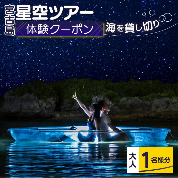 【ふるさと納税】【宮古島】絶景貸切ツアー　星空ツアー（日本初・海の上で星空撮影）大人1名様分　うみさんぽ（MS05）