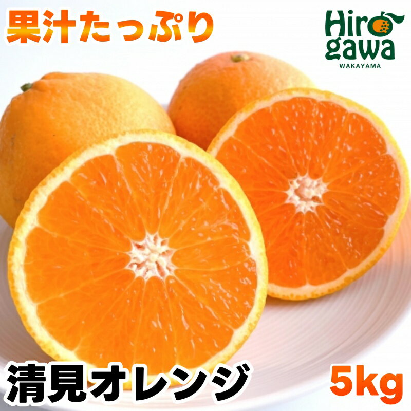 【ふるさと納税】 清見 オレンジ 5kg サイズ混合 果汁たっぷり 有機質肥料100% ※3月上旬から3月下旬に順次発送予定　※北海道・沖縄・離島への配送不可 / みかん 蜜柑 晩柑 きよみ 清見 オレンジ 柑橘 果物 くだもの 果実 フルーツ 国産 和歌山 //dekopon