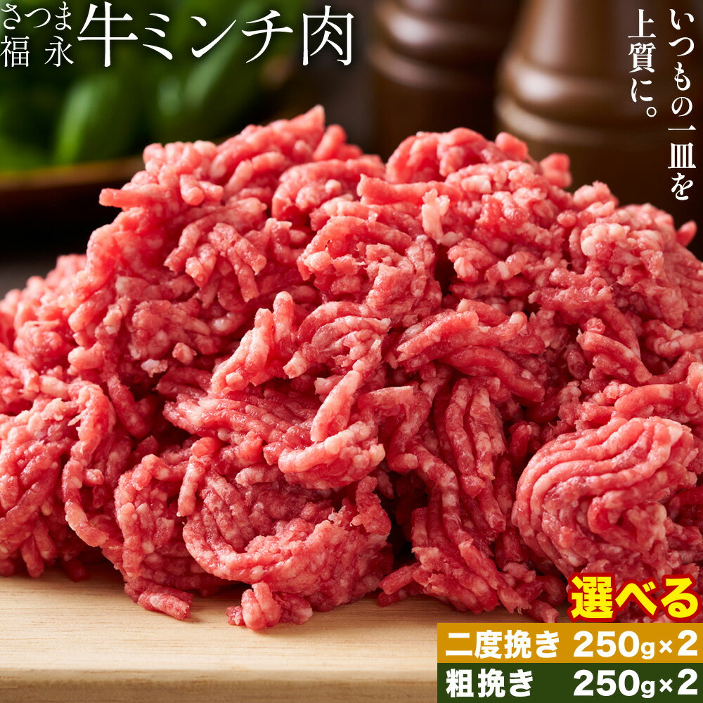 【ふるさと納税】さつま福永牛 ミンチ肉 選べる 二度挽き 粗挽き 250g × 2パック 福永畜産《30日以内に出荷予定(土日祝除く)》 鹿児島県 さつま町 和牛 福永牛 ミンチ 二度挽き 粗挽き 肉 国産