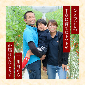 訳あり・規格外！数量限定の門川町産ミニトマト(計約4kg)フルーツトマト とまと 野菜 キャロルパッション 小鈴 プレミアムルビー アイコ ミックス 生 旬野菜 冷蔵【X-11】【いけとも農園】