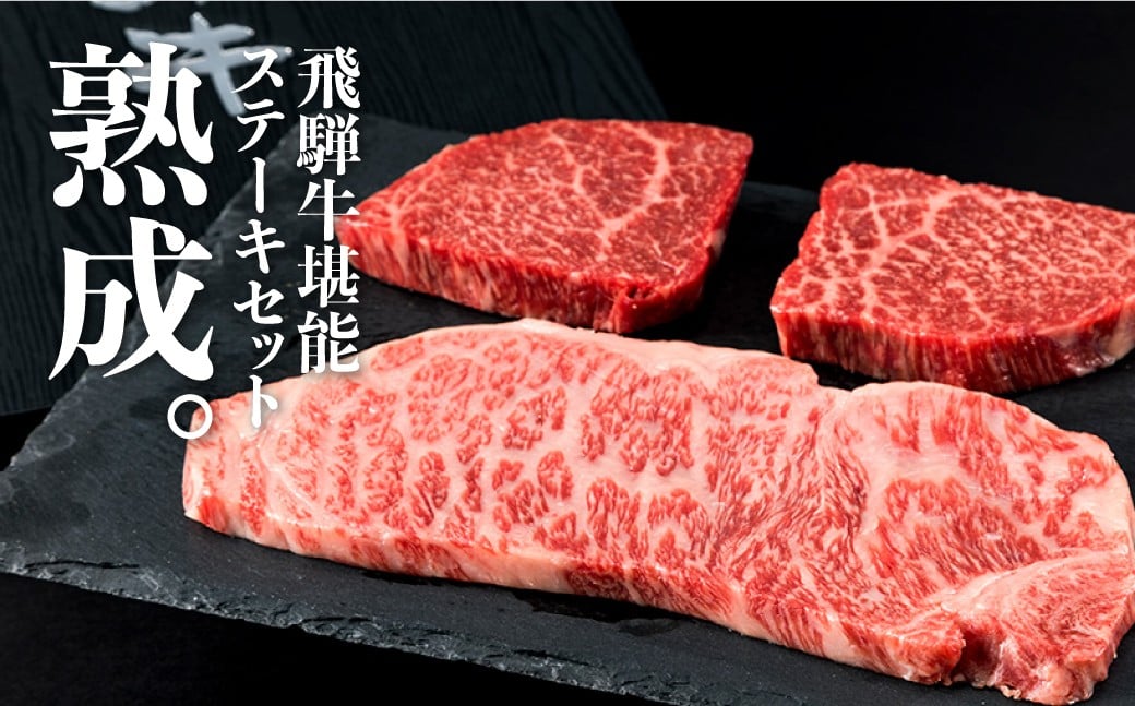 
            飛騨牛 堪能ステーキセット 計300g 飛騨の牧場で育った熟成『山勇牛』フィレとおすすめ部位2種ステーキ食べ比べセット 牛肉 和牛
          