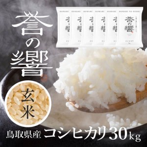 【要確認：配送時期指定NG】【令和7年産】（玄米 30kg）優栽：特別栽培米 鳥取県日野町産 コシヒカリ お米 米