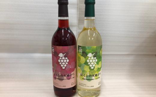 
            ほくとの大地から キャンベル・アーリー赤とナイアガラ白のセット 各720ml 【 ふるさと納税 人気 おすすめ ランキング ワイン 赤ワイン 白ワイン ライト 720ml 葡萄 ぶどう キャンベルアーリー 果実酒 お酒 セット 詰合せ ギフト 贈答 贈り物 プレゼント お祝い 北海道 北斗市 送料無料 】 HOKJ007
          