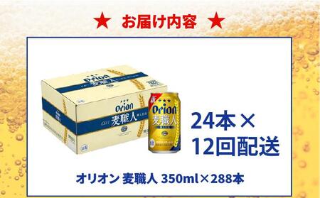 【全12回定期便】 オリオンビール 麦職人 350ml × 24缶 (DQ044)