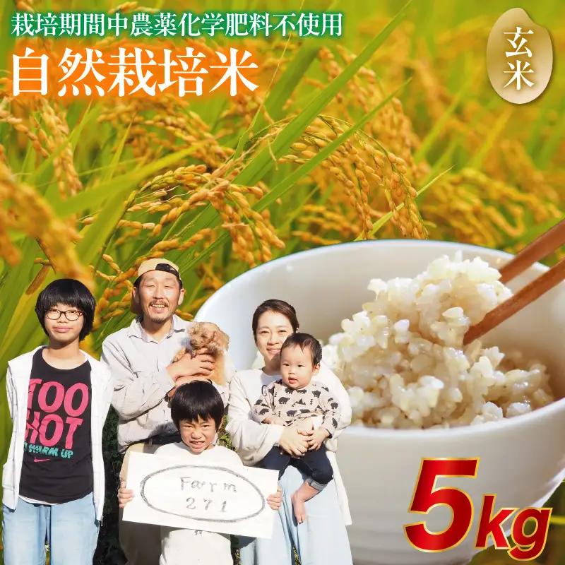 令和7年度産 自然栽培米 こしひかり 5kg 玄米 お米