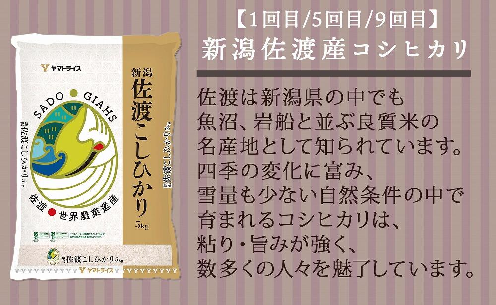 【定期便全12回】新潟県産米厳選食べ比べ 5kg（受注の翌月から毎月配送）｜新潟県　新潟　佐渡　佐渡産　コシヒカリ　こしひかり　魚沼産　魚沼　新之助　おこめ　お米
