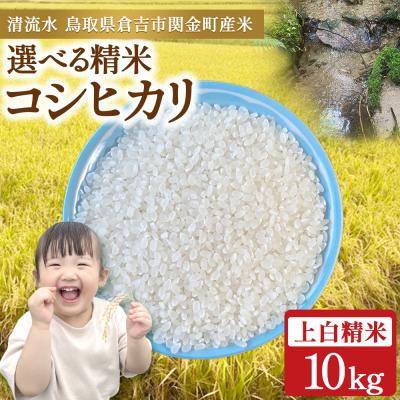 ふるさと納税 倉吉市 コシヒカリ 10kg(上白精米)令和7年産 新米 お米 米 こめ コメ こしひかり コシヒカリ ご飯
