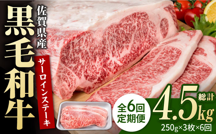 
【6回定期便】佐賀県産 黒毛和牛 贅沢 サーロインステーキ 250g×3枚（計750g）【株式会社いろは精肉店】/黒毛和牛 和牛 牛肉 肉 お肉 贅沢 高級 ステーキ [IAG091]
