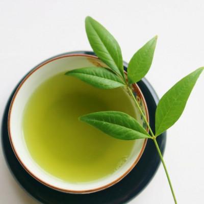 ふるさと納税 糸田町 八女茶【上】煎茶セット　100g×2袋(糸田町) |  | 03