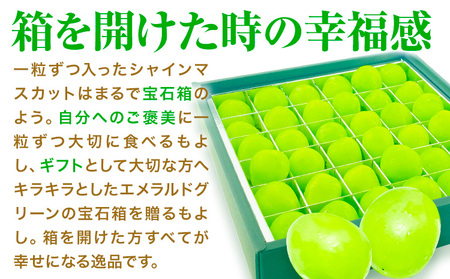 【2026年発送先行予約】シャインマスカット 晴王 20粒 シャイン マスカット《2026年9月中旬-10月中旬頃出荷予定》晴レ乃青果　(岡山中央卸売市場店(富士紙工 有限会社)) 送料無料 岡山県 