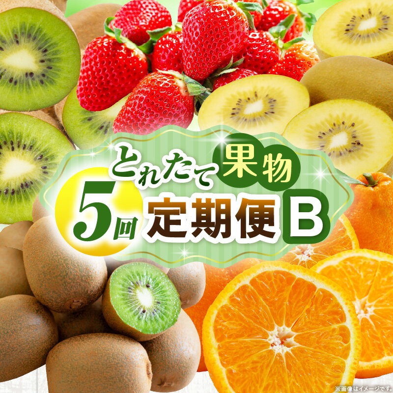 【ふるさと納税】とれたて果物 5回定期便B 果物 フルーツ 果物定期便 フルーツ定期便 定期便 5回 いちご キウイ デコポン ゴールドキウイ 濃厚 旬の果物 定期 人気 おすすめ 贈答 贈り物 青果物 糖度 香川県 三木町 送料無料 レビューキャンペーン