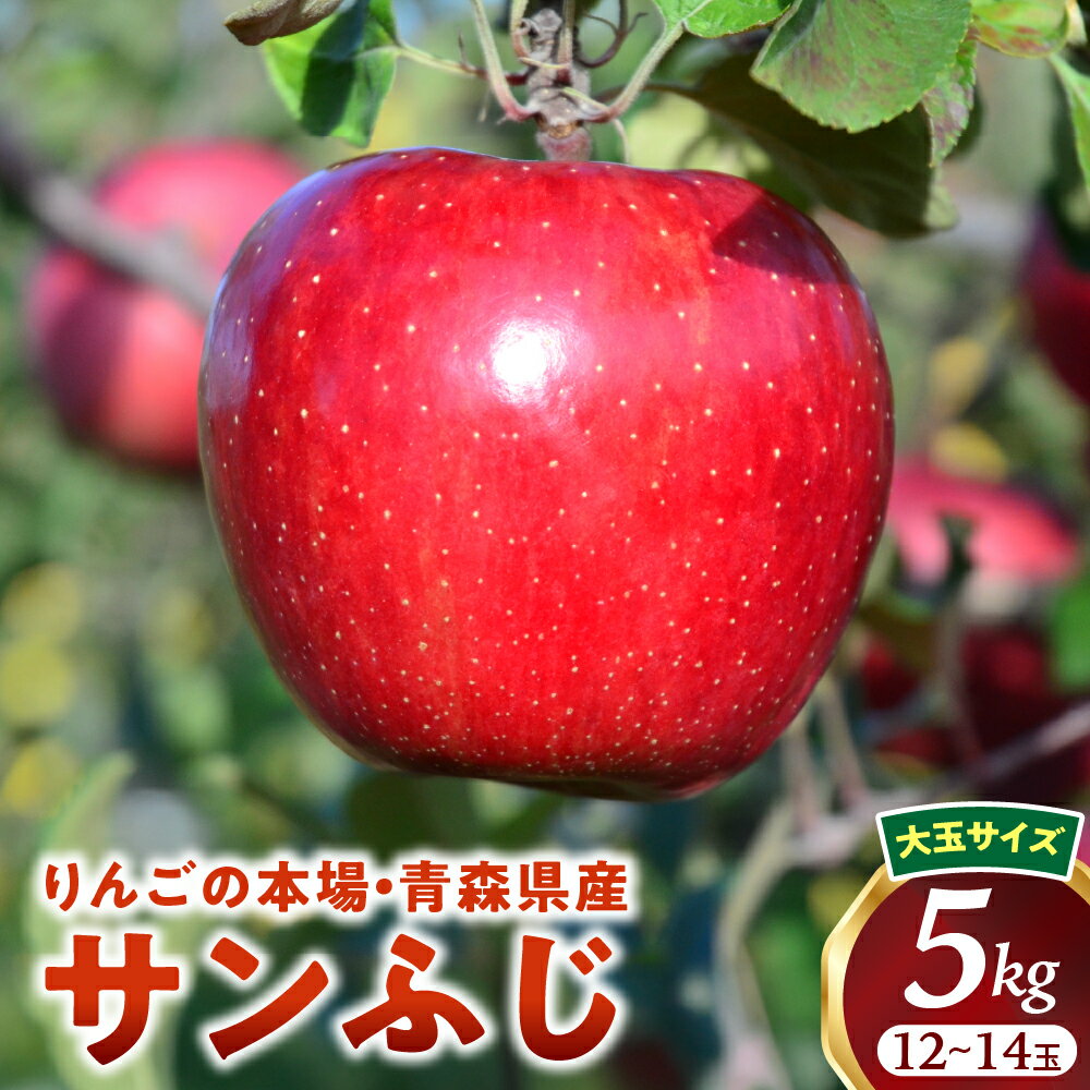 【ふるさと納税】人気No.1 青森りんご【サンふじ】約5kg（12〜14玉・大玉サイズ）【2025年産・先行予約】★2025年12月上旬〜12月下旬頃発送予定★アップル 林檎 フルーツ 果物 果実 青森県 青森県産 三戸 三戸町 贈答 ギフト プレゼント 産地直送 農家直送 送料無料