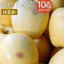 【ふるさと納税】訳あり りんご はるか 約10kg 約28～40玉 訳あり ご家庭用 りんご リンゴ 林檎 フルーツ 果物 岩手県産 送料無料 【2024年12月下旬～2025年1月下旬に順次発送予定】