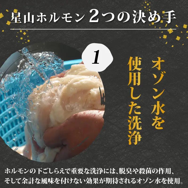 牛上ホルモン（白）（500ｇ×1袋）| ホルモン 六間星山  焼肉
