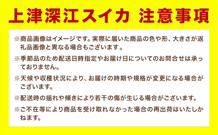 天草産上津深江 スイカ 1玉 髙橋商店 《6月末-8月中旬頃出荷》熊本県 苓北町 フルーツ 果物 くだもの スイカ すいか 西瓜 盆すいか 上津深江スイカ---J06R605-multi---