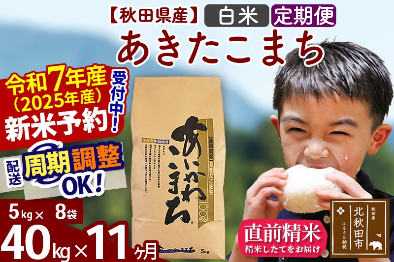 ※令和7年産 新米予約※《定期便11ヶ月》秋田県産 あきたこまち 40kg【白米】(5kg小分け袋) 2025年産 お届け周期調整可能 隔月に調整OK お米 藤岡農産|foap-11111