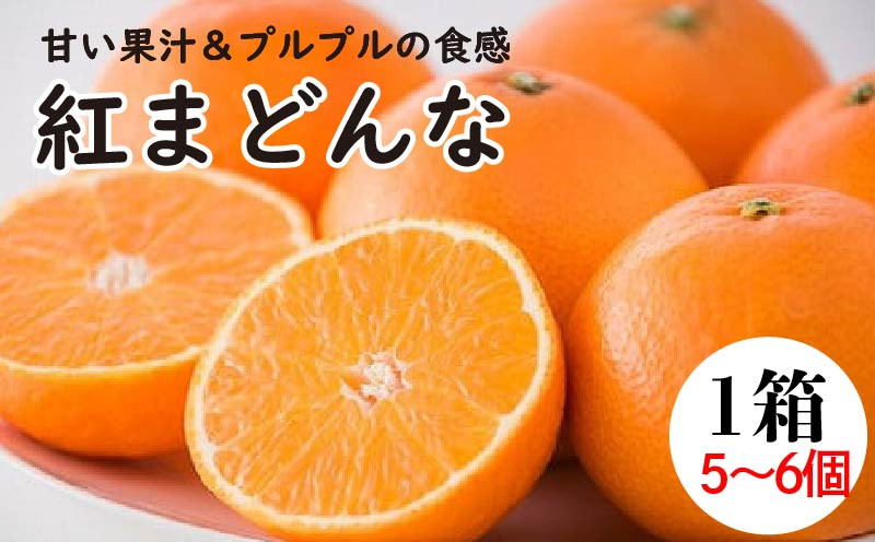
            紅まどんな1箱（5から6個入り） | 高級 柑橘 フルーツ まどんな みかん 愛媛 みかん 蜜柑 フジ・アグリフーズ 愛媛県 松山市
          