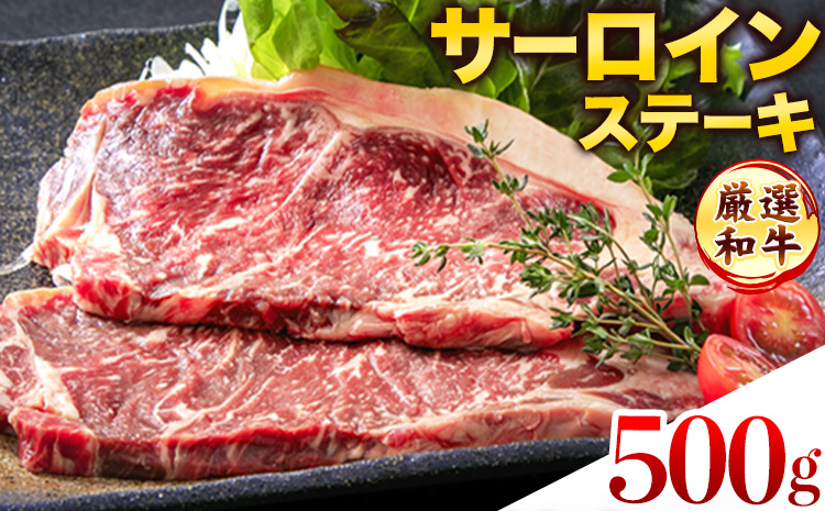 ステーキ 赤身 牛肉 サーロインステーキ 送料無料 あか牛 小分け 熊本県産 500g ( 250g x 2枚 ) 《30日以内に出荷予定(土日祝除く)》