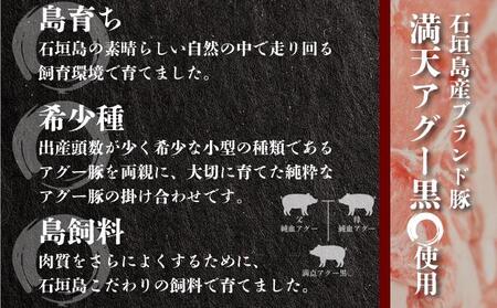 満天アグー 2種セット (ハンバーグ 150g×2 ウインナー 200g×2) | ふるさと納税 沖縄県 石垣市 石垣 沖縄 石垣島 ふるさと 人気 送料無料 アグー 豚 豚肉 ポーク