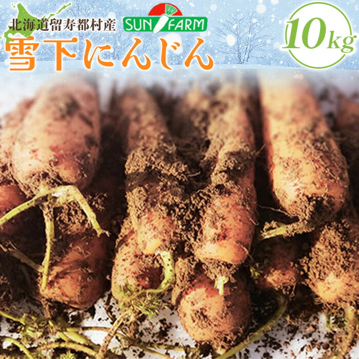 【ふるさと納税】雪下にんじん 10kg 人参 にんじん ニンジン 越冬 オンライン 申請 ふるさと納税 北海道 留寿都 野菜 春 旬野菜 季節野菜 甘い フルーツ みずみずしい 産地直送 新鮮 採れたて サラダ カレー おかず 10キロ 留寿都村【2400501】