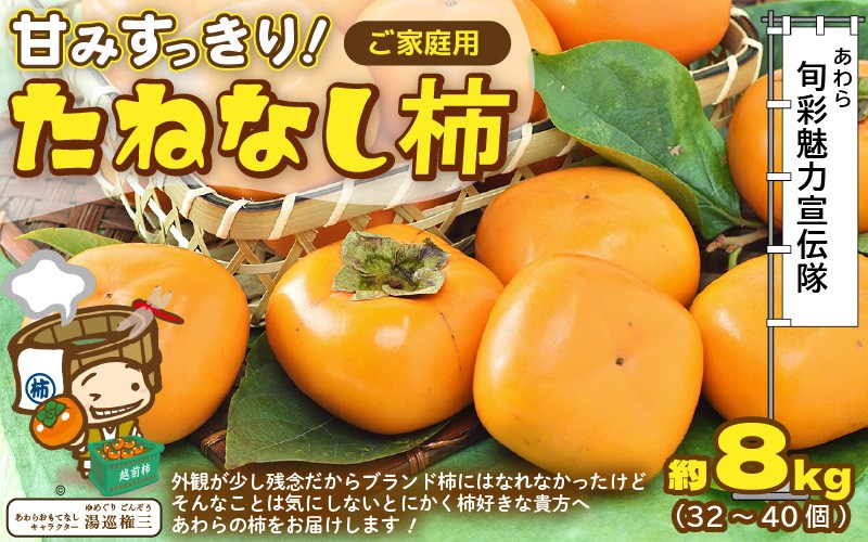 
                  【訳あり】 甘みすっきり！あわらのたねなし柿 約8kg（32個～40個）（ご家庭用） ／ 果物 フルーツ かき 種なし  産地直送 期間限定 [aw031-a004]
                