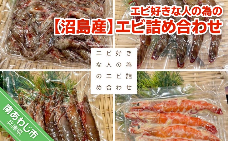 【沼島産】エビ好きな人の為のエビ詰め合わせ（足赤エビ・シラサエビ・パチエビ・足赤エビの味噌漬け）　◆配送11/1～2/28