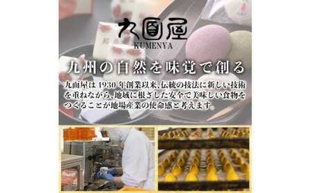 A0-354 薩摩銘菓塩豆かるかん(計15個)【九面屋】霧島市 鹿児島 菓子 和菓子 お茶菓子 お茶請け 軽羹 塩豆 金時豆 ギフト 贈答用