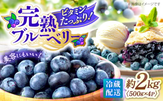 【6月中旬より順次発送】完熟 ブルーベリー 約2kg＜広津農園＞ [CBN009] 冷蔵 栽培期間中 農薬不使用 ブルーベリー 果物 果実 冷蔵 生ブルーベリー ブルーベリー 西海市産 ぶるーべりー