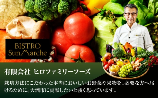 【シェフの目線】【全3回定期便】野菜 6から7種　単身・二人暮らし用セット　大洲市/（有）ヒロファミリーフーズ[AGBX044]野菜セット やさいセット 愛媛県産 大洲市産 産地直送 おすすめ 人気 お取り寄せ 送料無料 贈答 ギフト 旬野菜 食材セット 宅配 詰め合わせ おまかせセット お任せ お試しセット 新鮮 こだわり 野菜詰め合わせ シェフ厳選 サラダ 炒め物 スープ 鍋 煮物 3回定期便