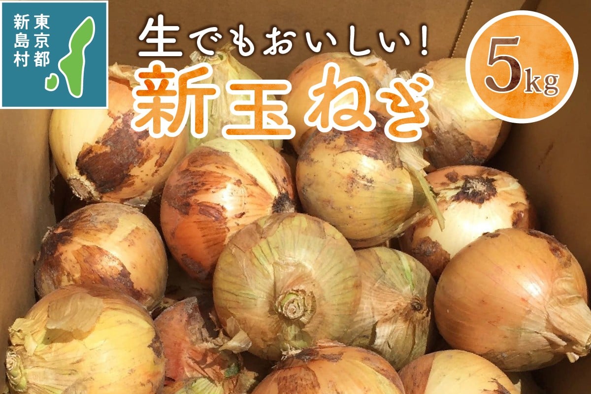 
                  東京都 新島産 新玉ねぎ 5kg [野菜 たまねぎ 新玉 オニオン 東京 伊豆諸島 新島 式根島 離島]
                