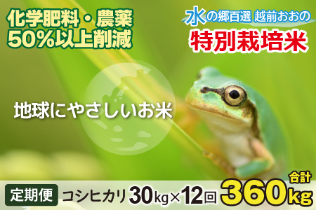 【令和7年産】【12ヶ月定期便】こしひかり 30kg × 12回 計 360kg【白米】減農薬・減化学肥料 「特別栽培米」－地球にやさしいお米－[R-003001]