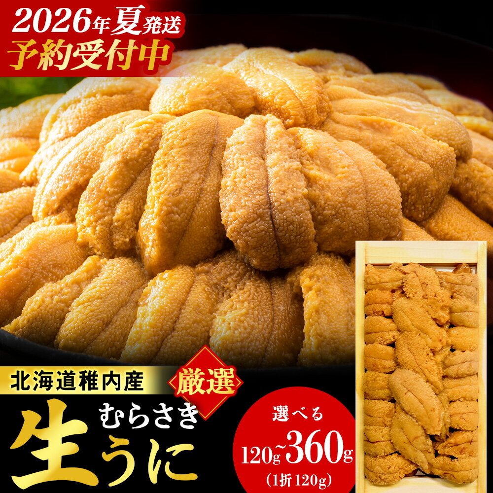 【ふるさと納税】【レビューキャンペーン実施中】【2026年発送 先行予約】【厳選PREMIUM】美味しいウニは昆布の名産地にあり!生むらさきうに 選べる1〜3パック 1パック120gムラサキウニ うに むらさきうに 生うに 海鮮 海産物 北海道 稚内 【配送不可地域：離島・沖縄】
