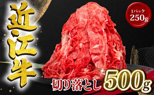 近江牛 切り落とし 500g 冷凍 黒毛和牛 （ 和牛 ブランド 牛 牛肉 三大和牛 切り落し 牛丼 カレー 惣菜 おかず 切落し 贈り物 ギフト 国産 滋賀県 竜王町 岡喜 神戸牛 松阪牛 に並ぶ 日本三大和牛 ふるさと納税 ）